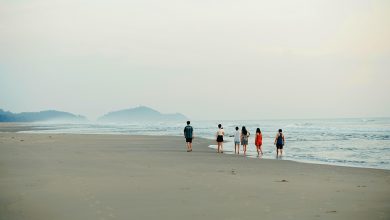 ترجمة ومعنى كلمة Best Friend بالإنجليزي: تعرف على المفهوم والدلالات ترجمة ومعنى كلمة Best Friend بالإنجليزي: تعرف على المفهوم والدلالات