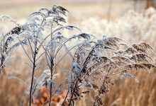 ترجمة ومعنى كلمة يناير بالانجليزي: كل ما تحتاج لمعرفته عن January